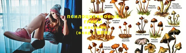 бутират Бугульма