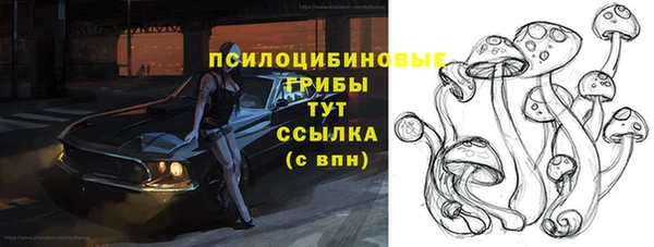 тгк Верея