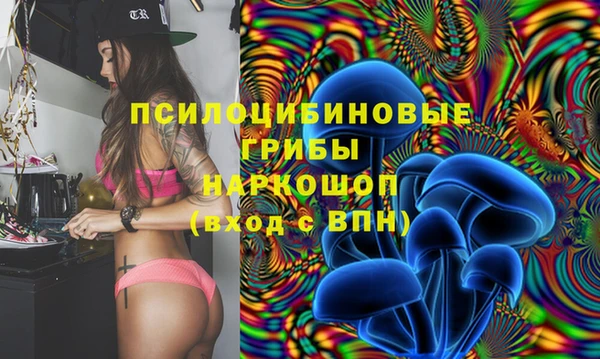 ГАЛЛЮЦИНОГЕННЫЕ ГРИБЫ Верхнеуральск