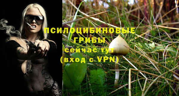 ГАЛЛЮЦИНОГЕННЫЕ ГРИБЫ Верхнеуральск